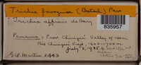 Image Associated With the Occurence